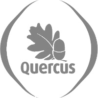 Quercus