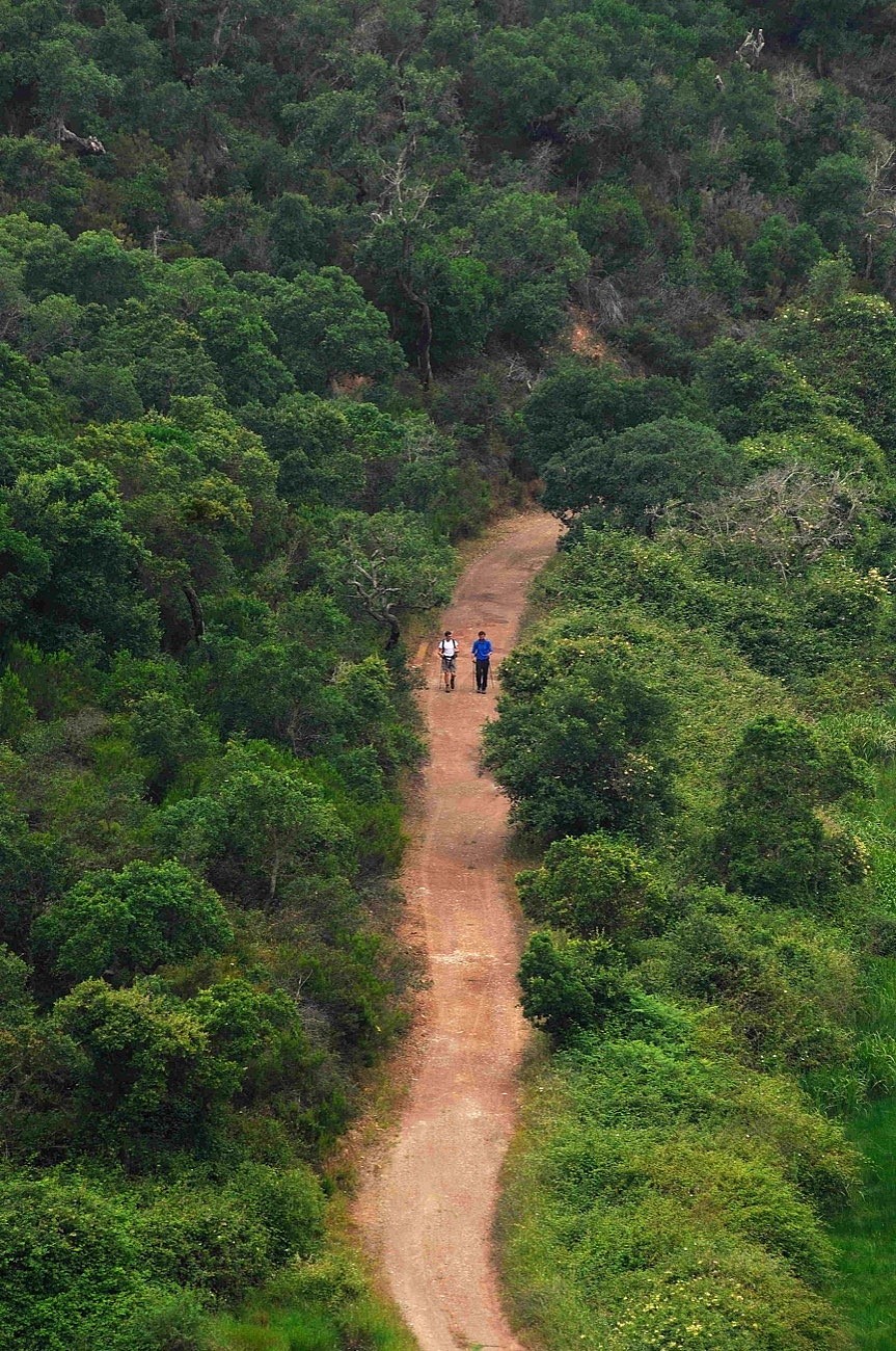 World Tourism Day and the pandemic