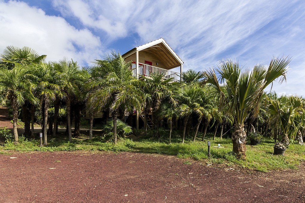 Azul Singular Glamping Experience