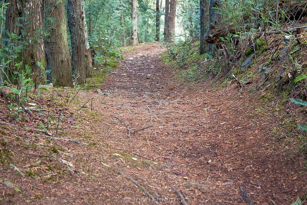Portugal Hiking Trails - Lousã
