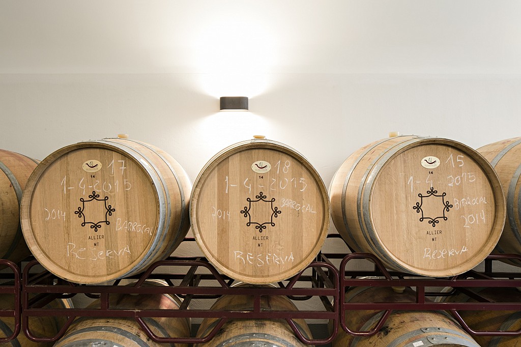 Best Wine Hotels at the Harvest Season in Portugal