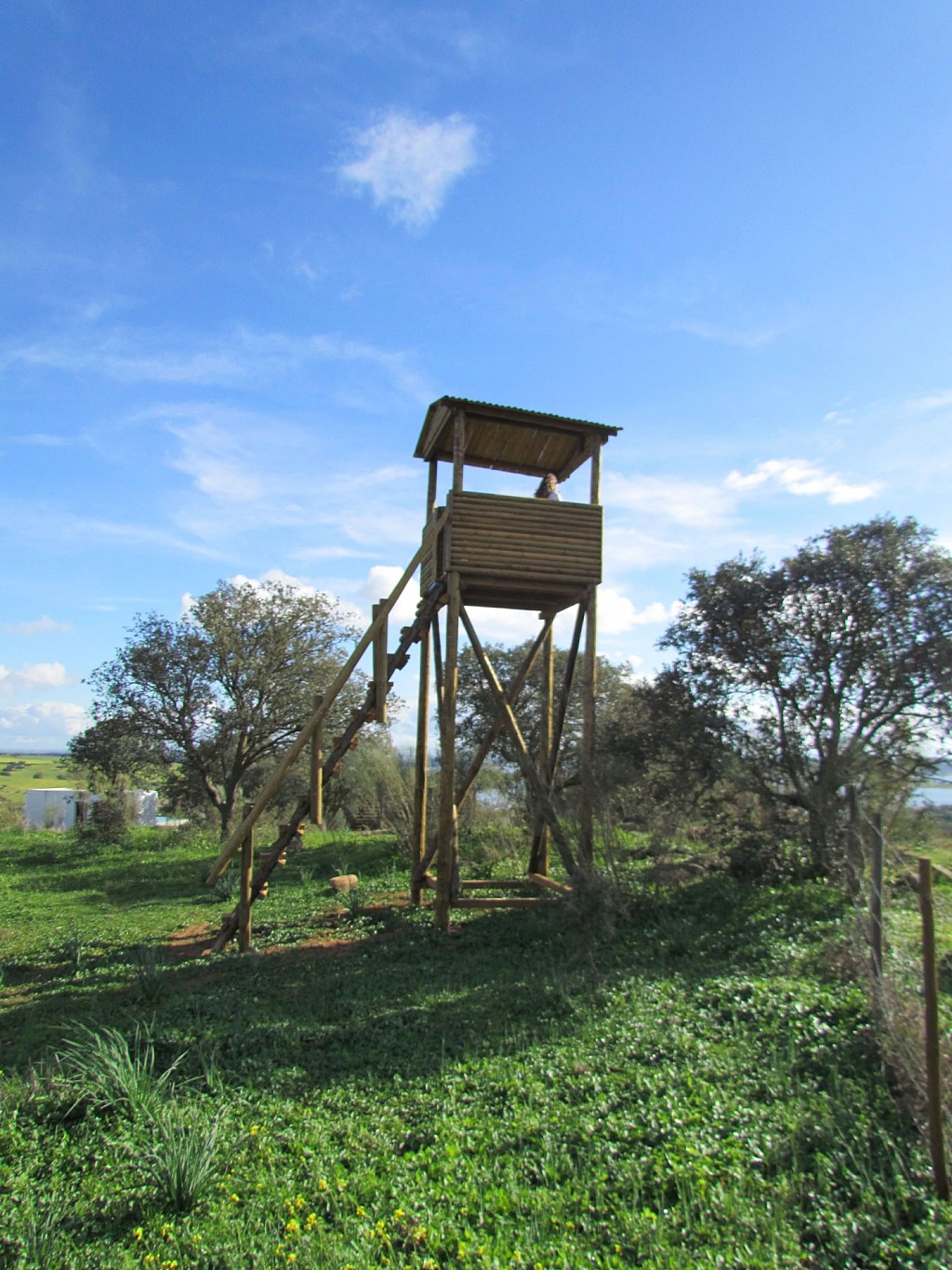 Montimerso Skyscape Countryhouse
