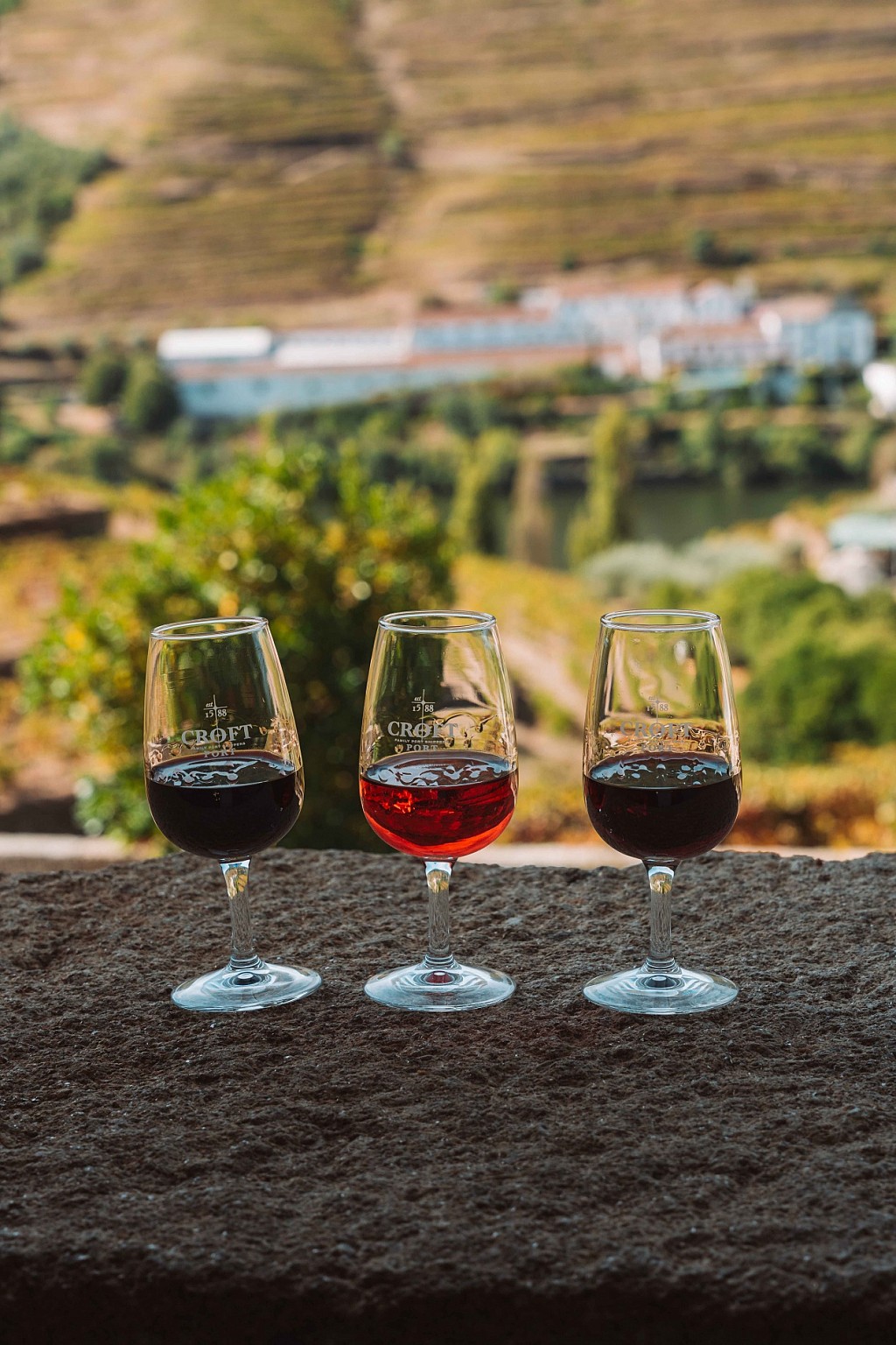 Where to Stay in the Douro Valley During Harvest Season