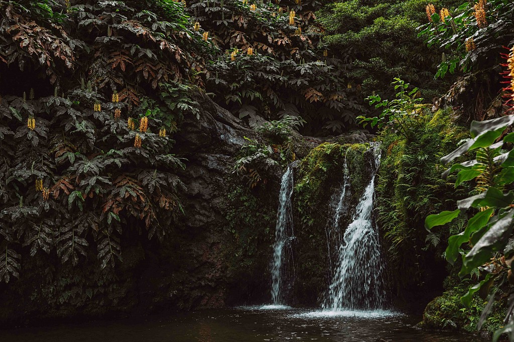 Salto do Prego Waterfall: One of the Most Beautiful Hikes in São Miguel, Azores