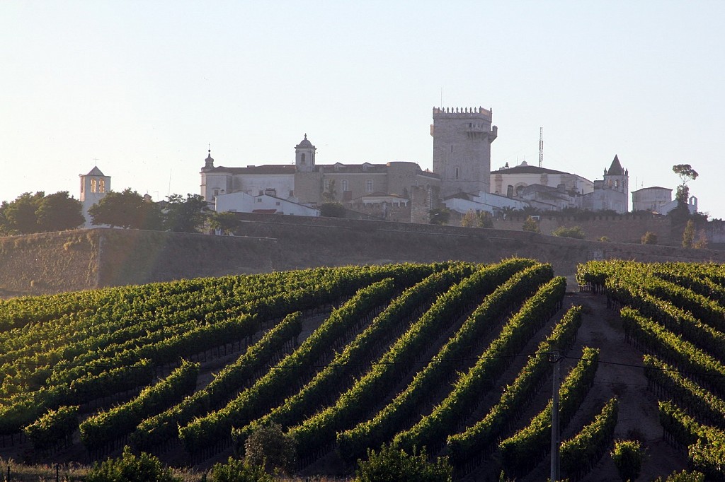 Cycling in Alentejo Breathtaking Scenery