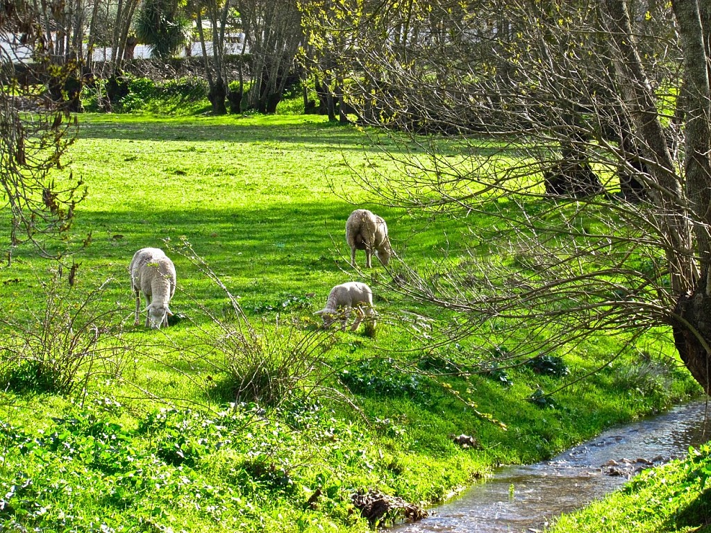 Herdade Água d'Alte