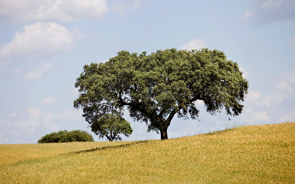 The 10 most rural & authentic places to stay in Portugal
