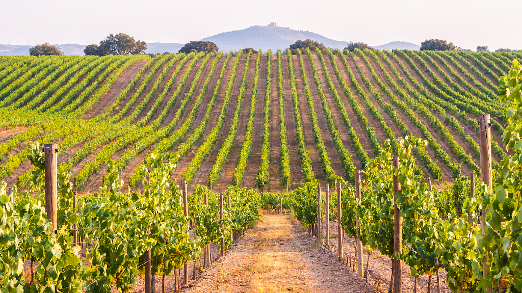 10 Reasons to Love Portugal