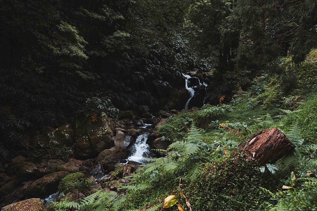 Salto do Prego Waterfall: One of the Most Beautiful Hikes in São Miguel, Azores