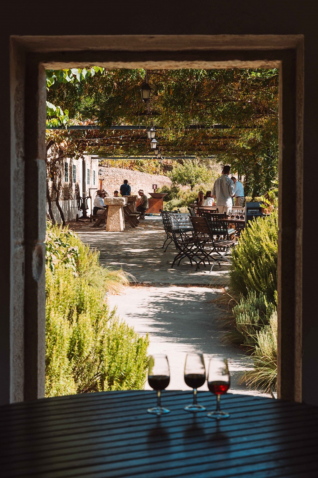 Where to Stay in the Douro Valley During Harvest Season
