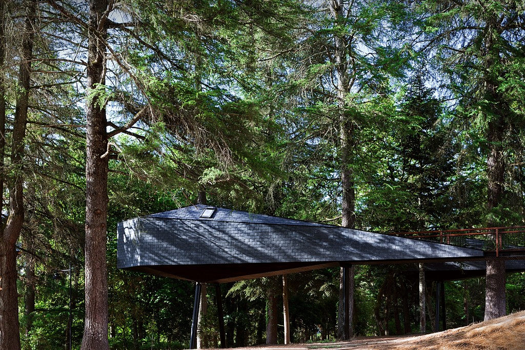 Pedras Salgadas - Spa & Nature Park