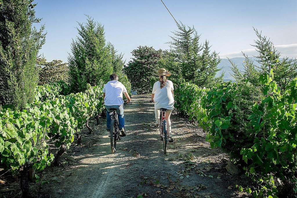 Trust us to plan safely your next custom trip to Portugal