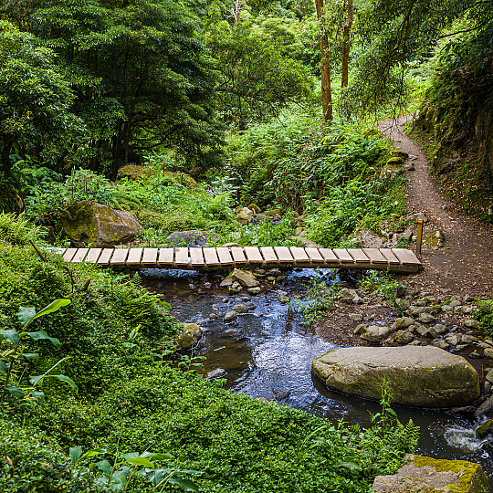 Salto do Prego Waterfall: One of the Most Beautiful Hikes in São Miguel, Azores