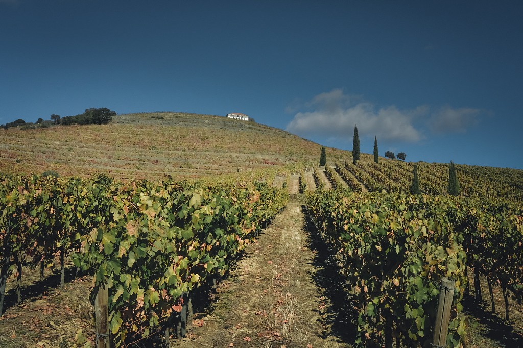 (my) Autumn Trip By The (charming) Douro Valley - Day 4