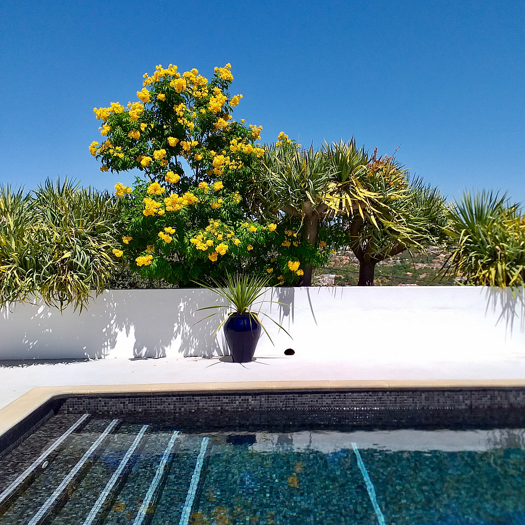 Farmhouse of the Palms