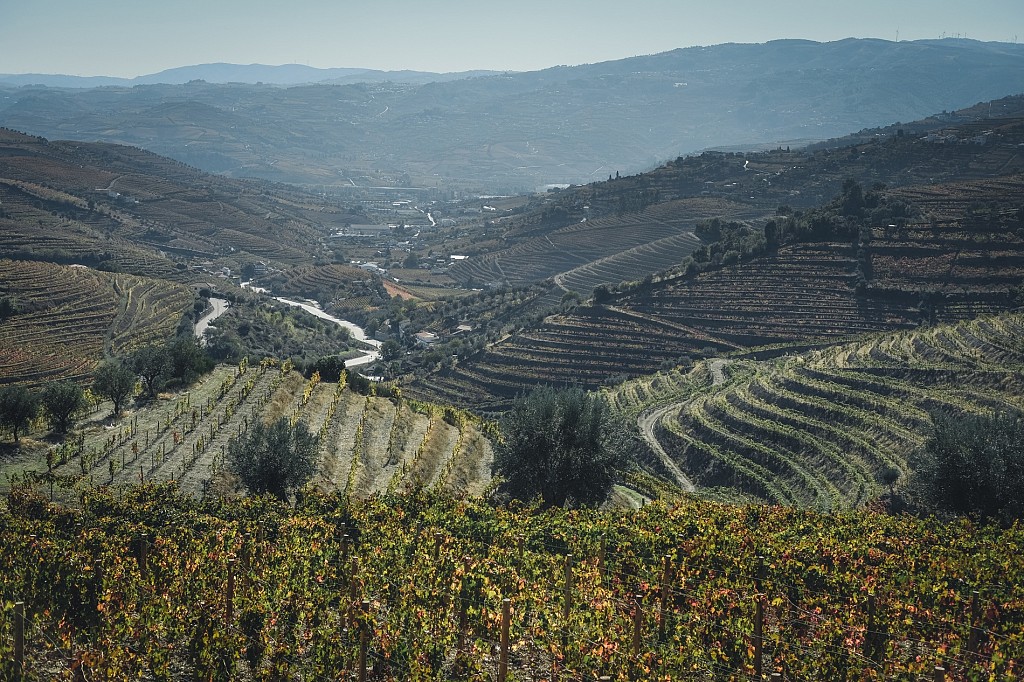 (my) Autumn Trip By The (charming) Douro Valley - Day 3