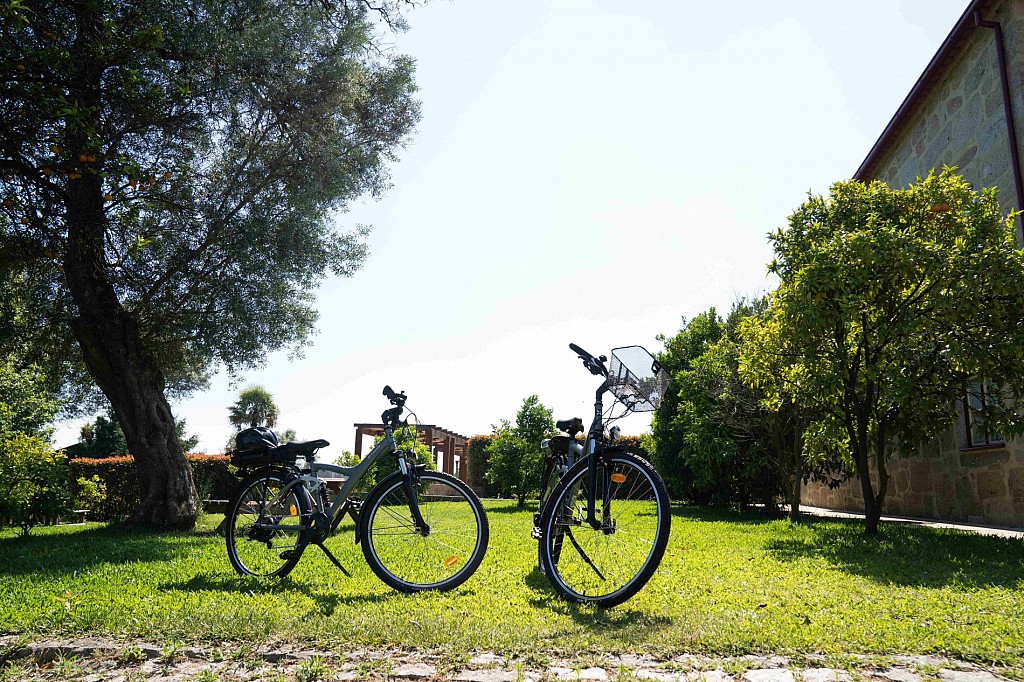 Casa Lata