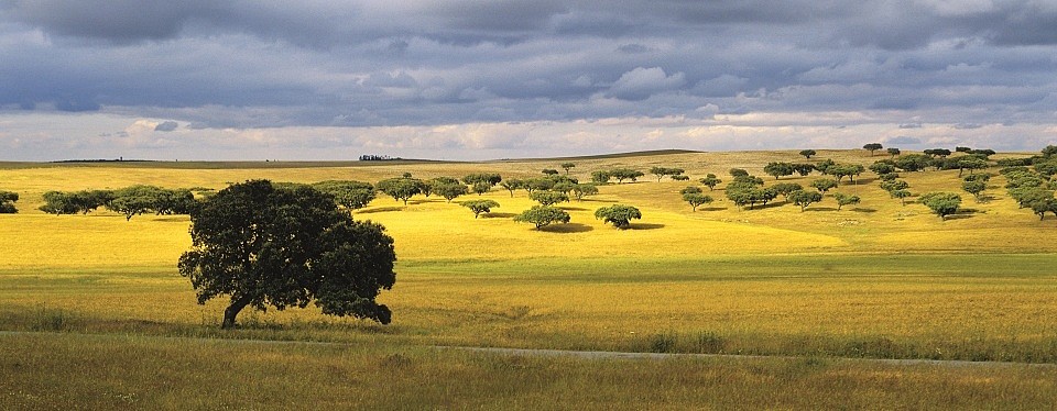 Why Portugal is perfect for cycling tours?