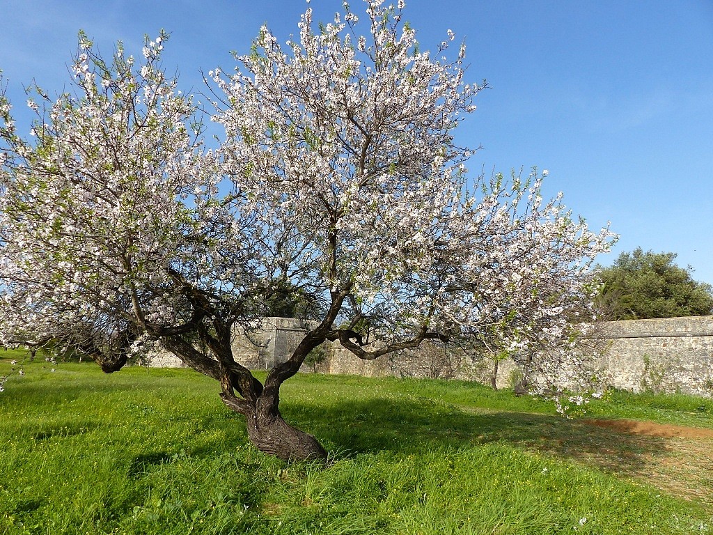 The best portuguese Easter foods