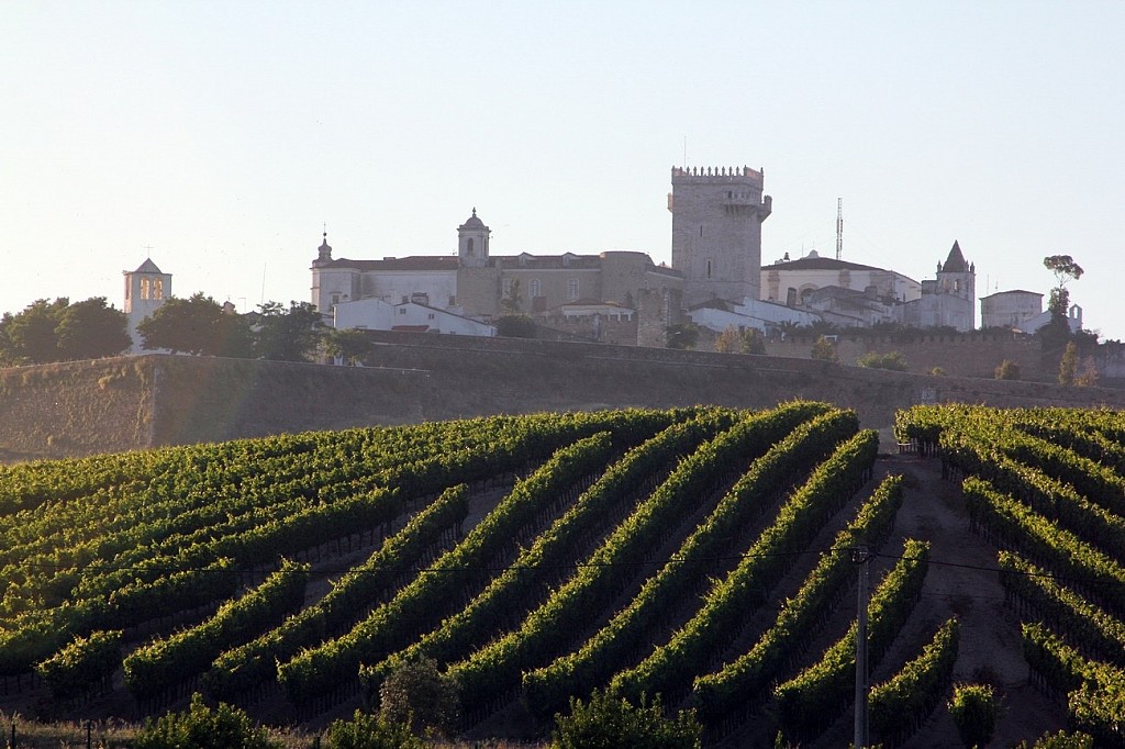 The Best Wine Hotels & Wine Experiences in Portugal