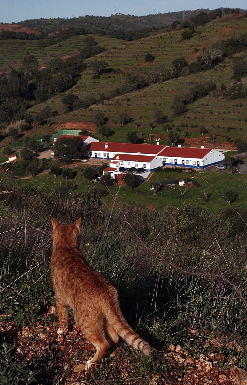 Quinta do Chocalhinho