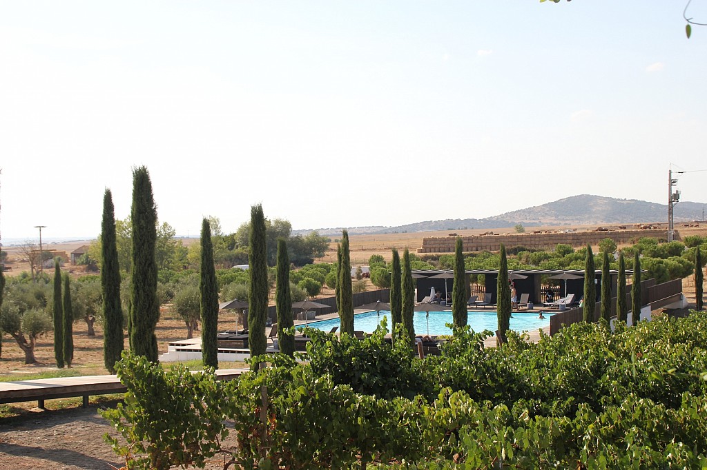 Best Wine Hotels at the Harvest Season in Portugal