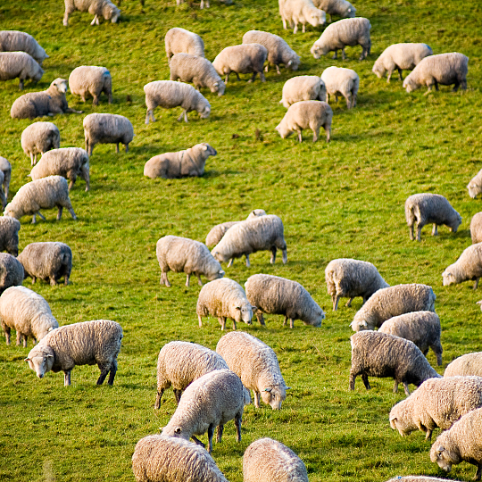 Experience north Portugal's breathtaking natural scenery