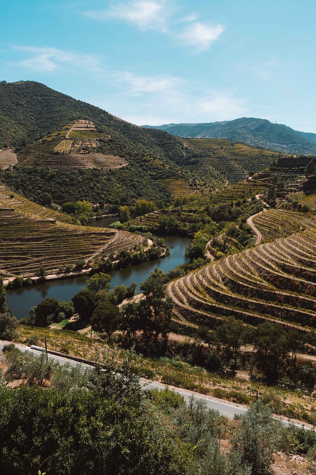 Where to Stay in the Douro Valley During Harvest Season