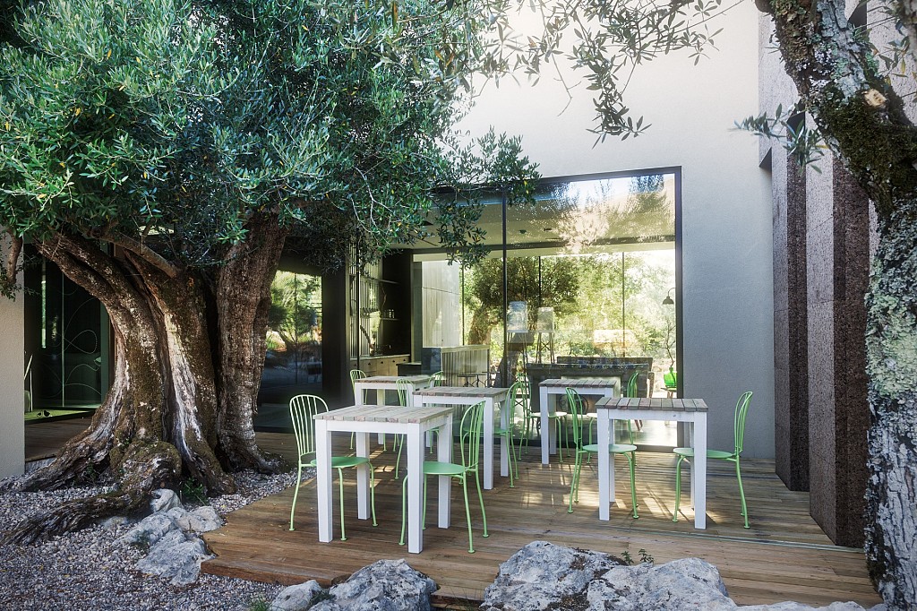 Cooking and Nature Emotional Hotel