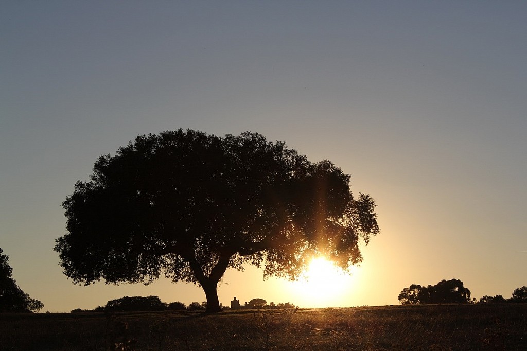 Portugal Honeymoon Guide: Romantic Places, Boutique Hotels & Tailor-Made Itineraries