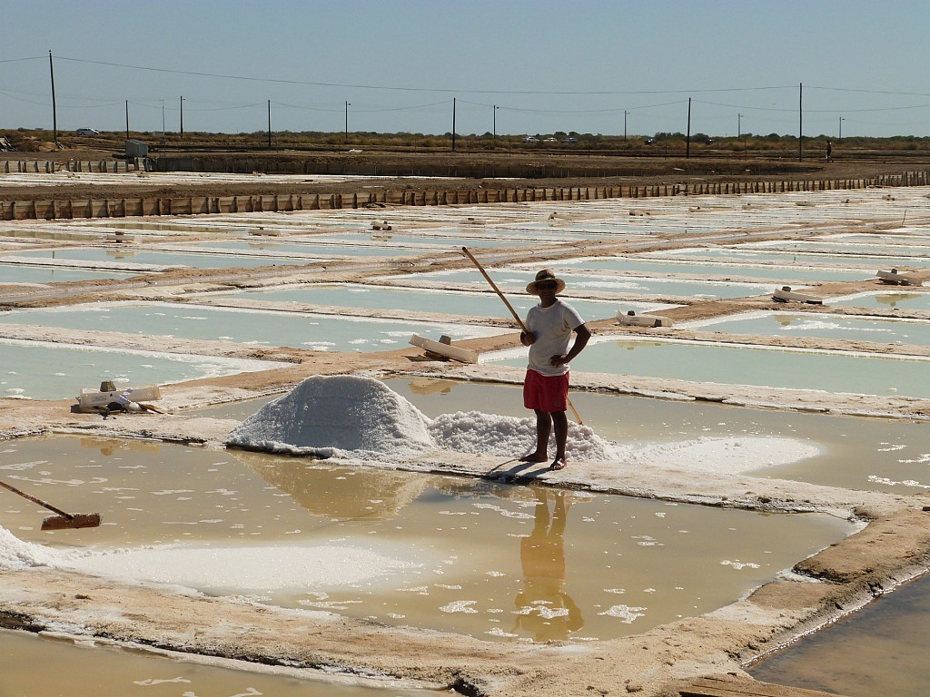 Food & Wine Tours in Portugal, from North to South