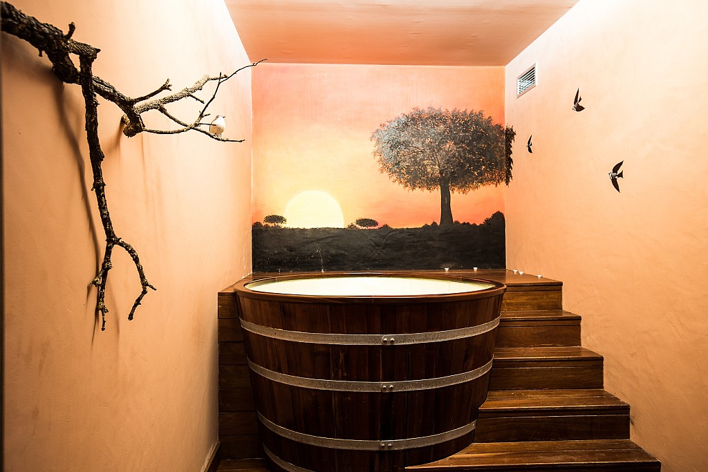 Monte do Giestal - Casas de Campo & SPA