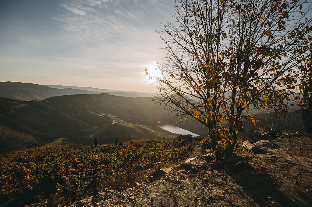 Quinta de Ventozelo - Douro