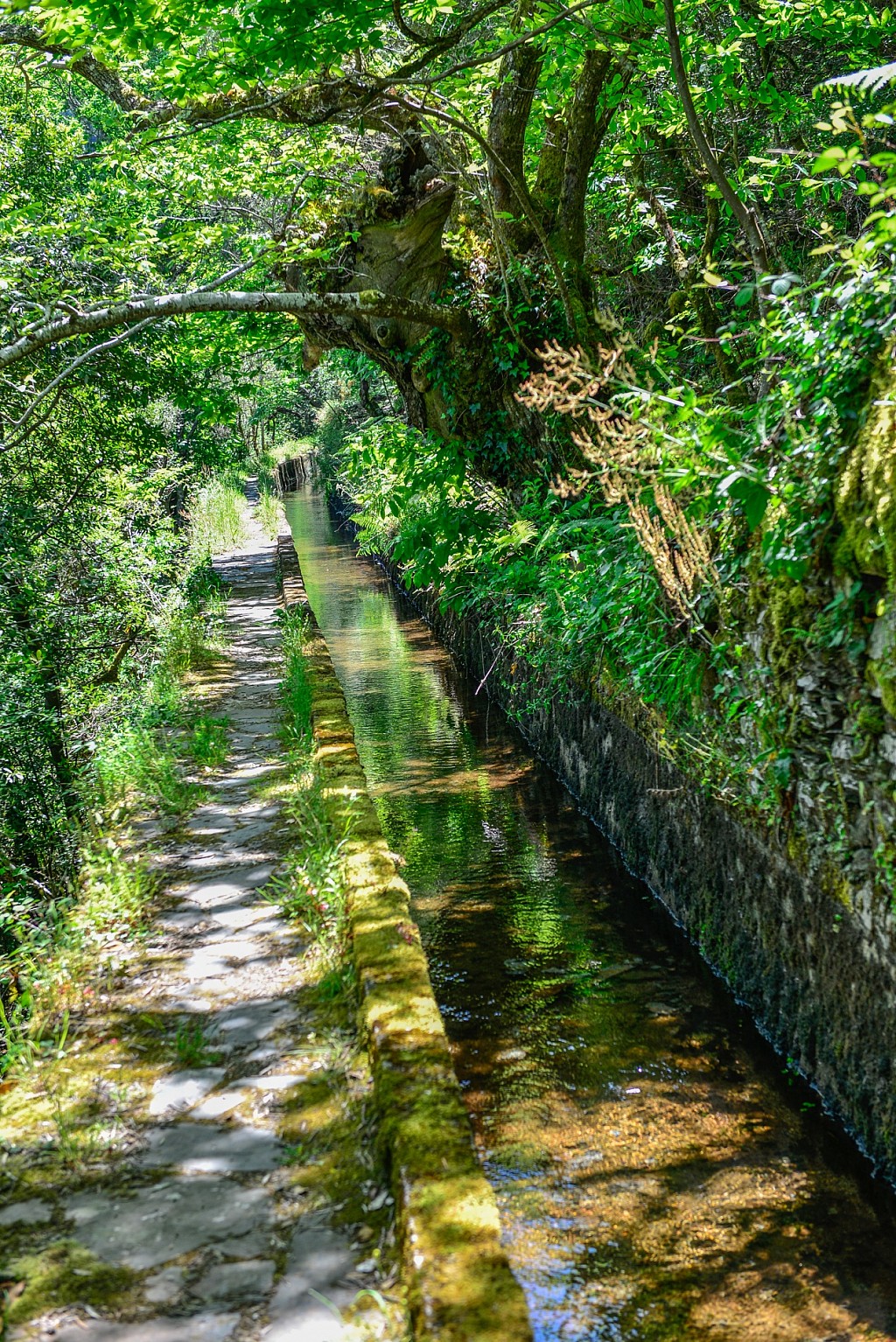 Why travel to Portugal?