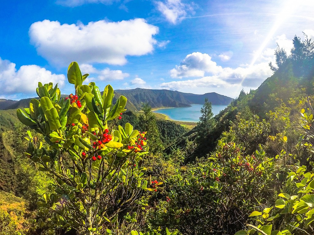 Travel Trends for 2025: An invitation to discover Portugal