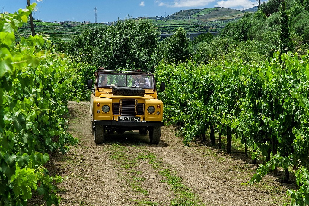 A guide to the North of Portugal
