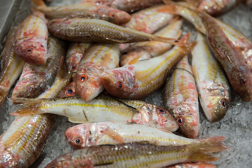 The most authentic Foodie Tour in Portugal