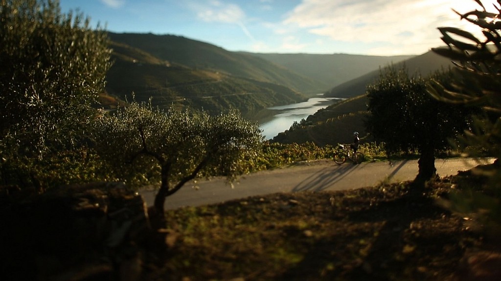 Scenic cycling in Douro Valley