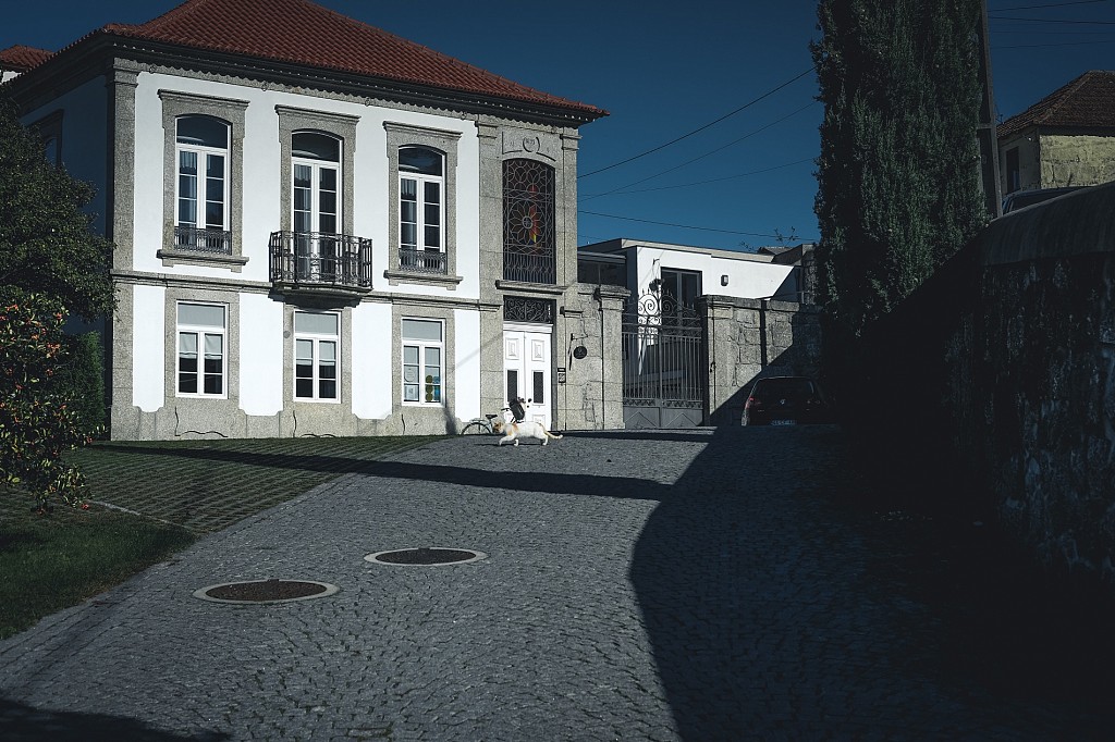 (my) Autumn Trip By The (charming) Douro Valley - Day 1 & 2