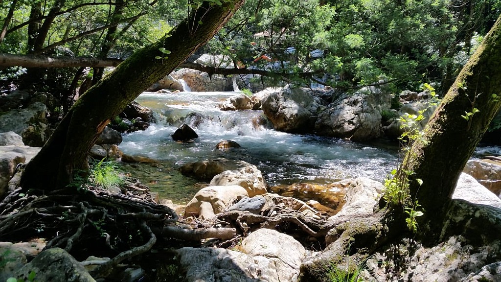 Vale do Ninho Nature Houses