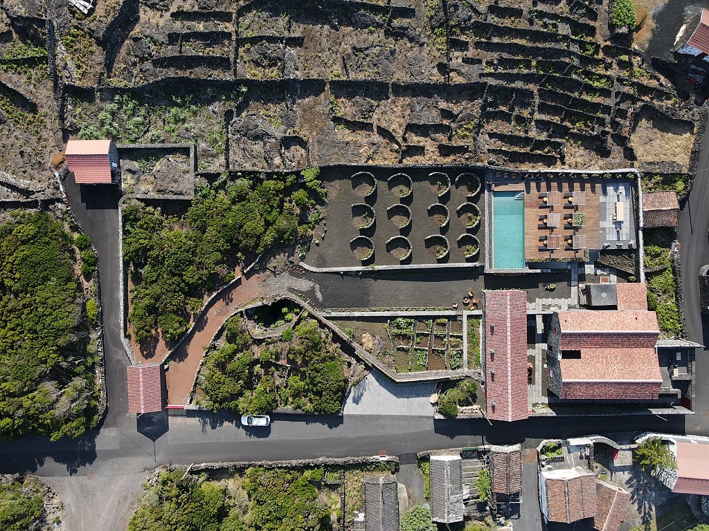 Adega do Fogo