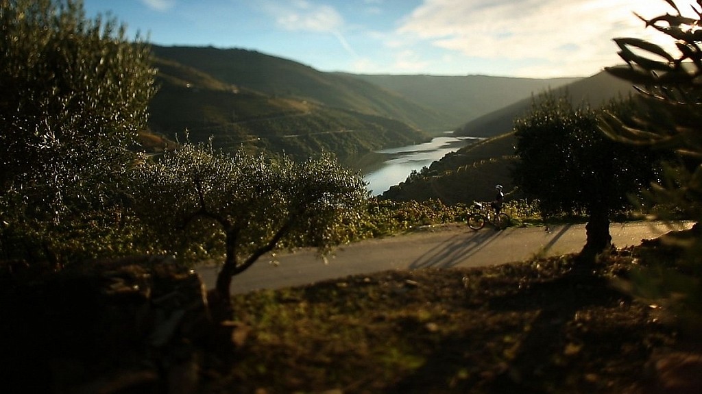 Trust us to plan safely your next custom trip to Portugal