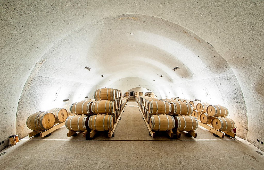Stroll along the wine region of Douro valley