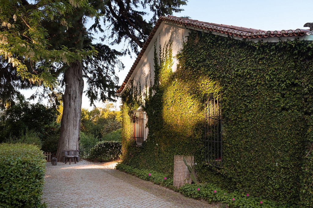 Imani Country House