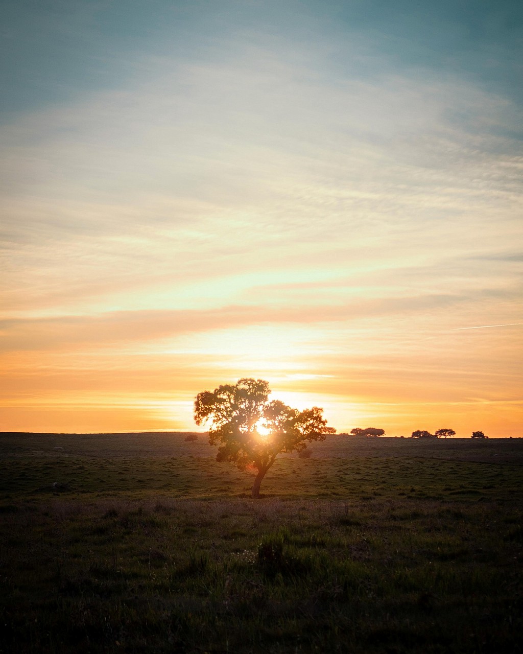 Trust us to plan safely your next custom trip to Portugal