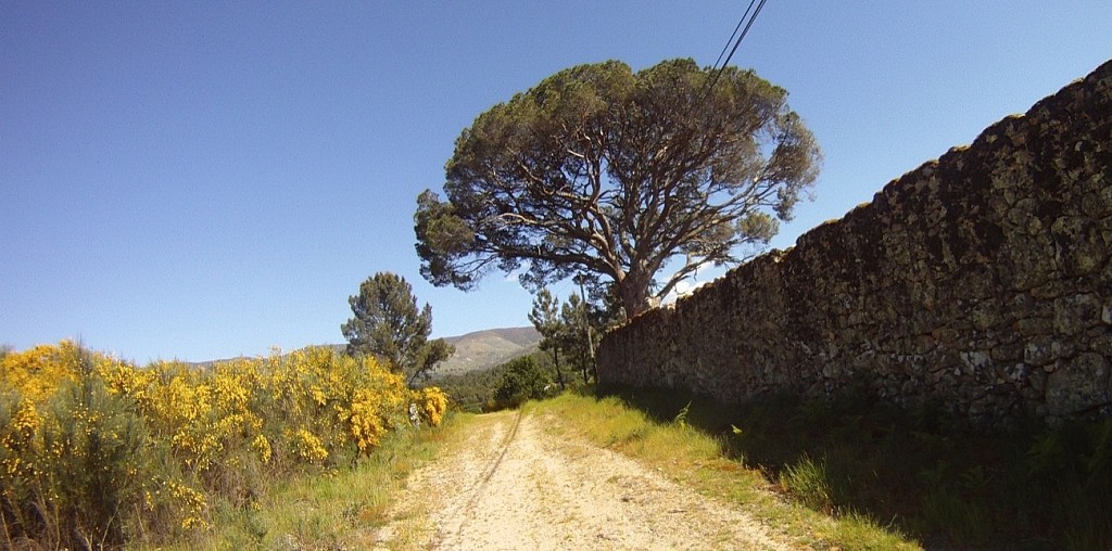 Madre de Água Hotel Rural