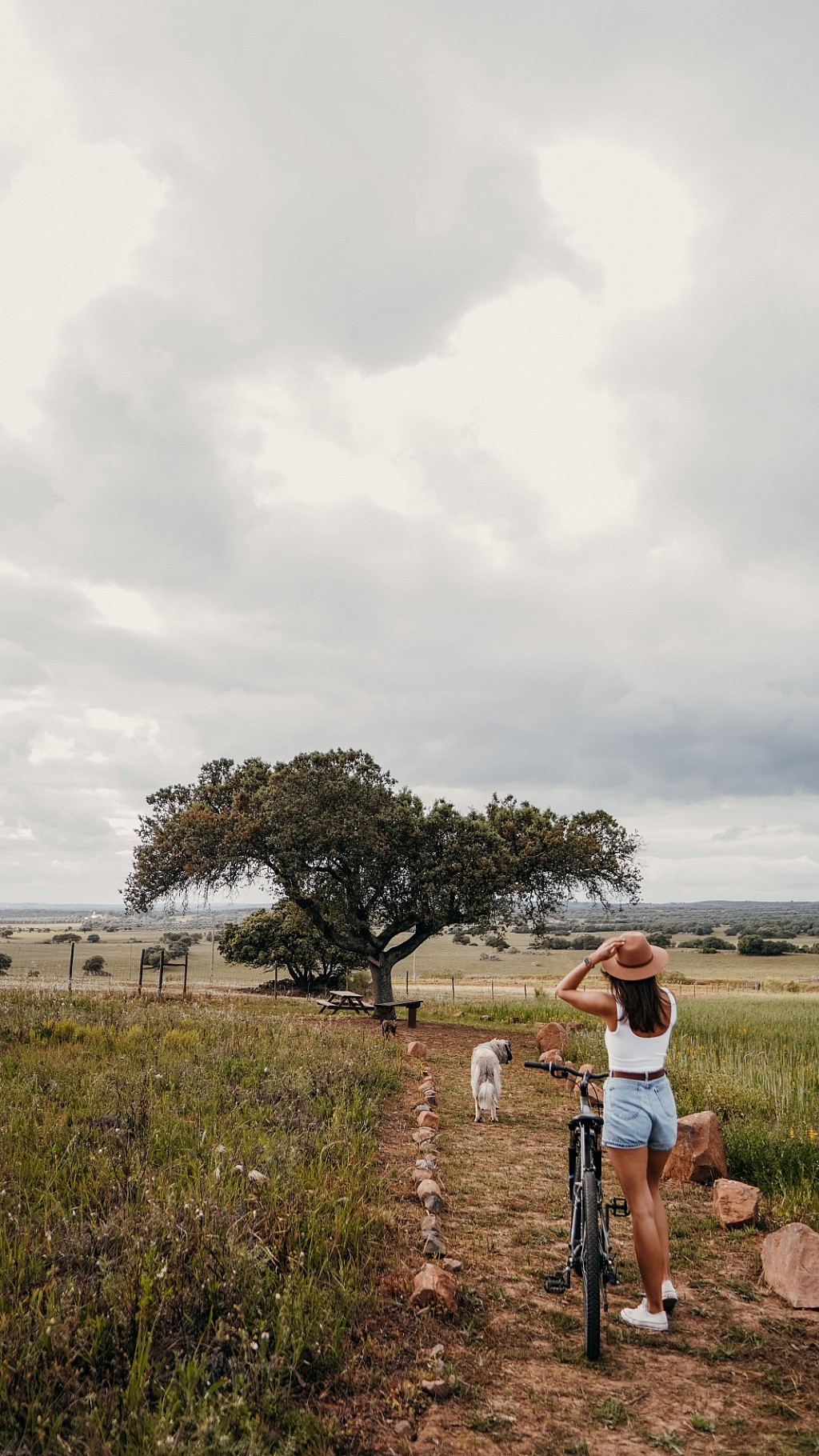 Montimerso Skyscape Countryhouse