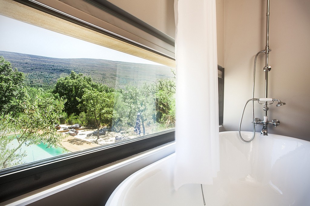 Cooking and Nature Emotional Hotel