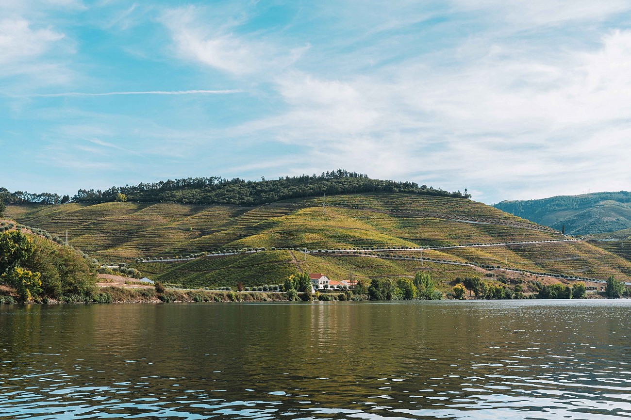 Where to Stay in the Douro Valley During Harvest Season