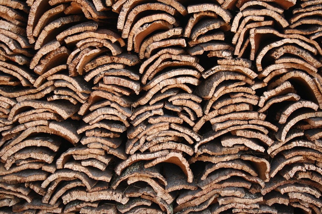 Cork Workshop & Wine Short Break in Alentejo